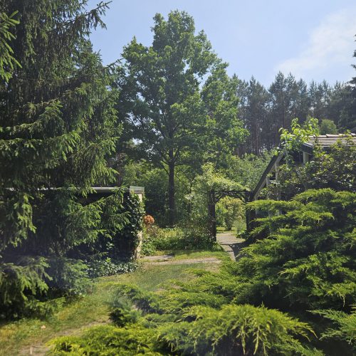 Bild des Grundstuecks der Zimmervermietung Lingies im Spreewald