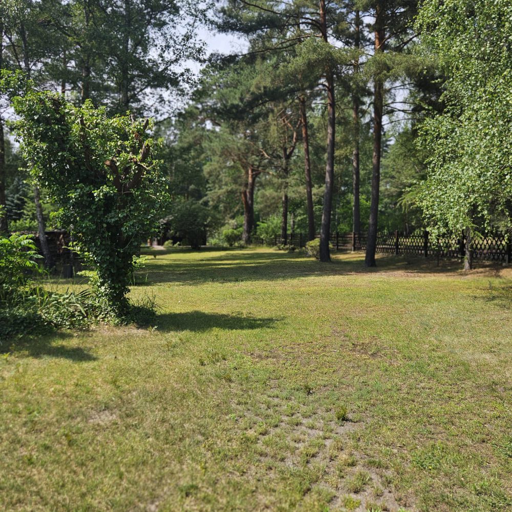 Zimmervermietung_Lingies_Spreewald_Grundstueck_Rasenflaeche