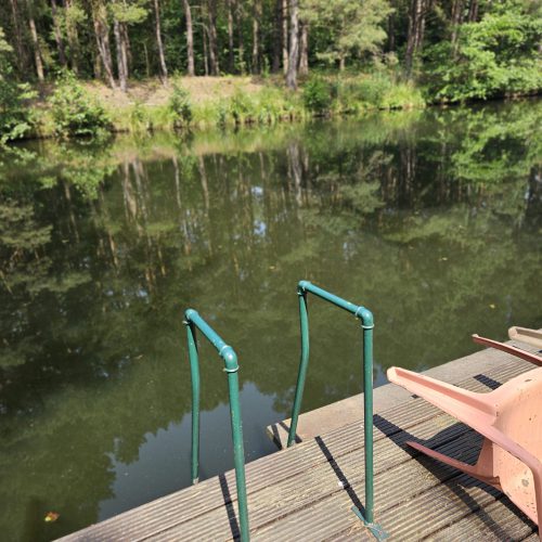 Bild der Leiter auf dem Privatsteg der Zimmervermietung Lingies im Spreewald