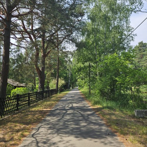 Bilder Strasse vor der Zimmervermietung Lingies im Spreewald