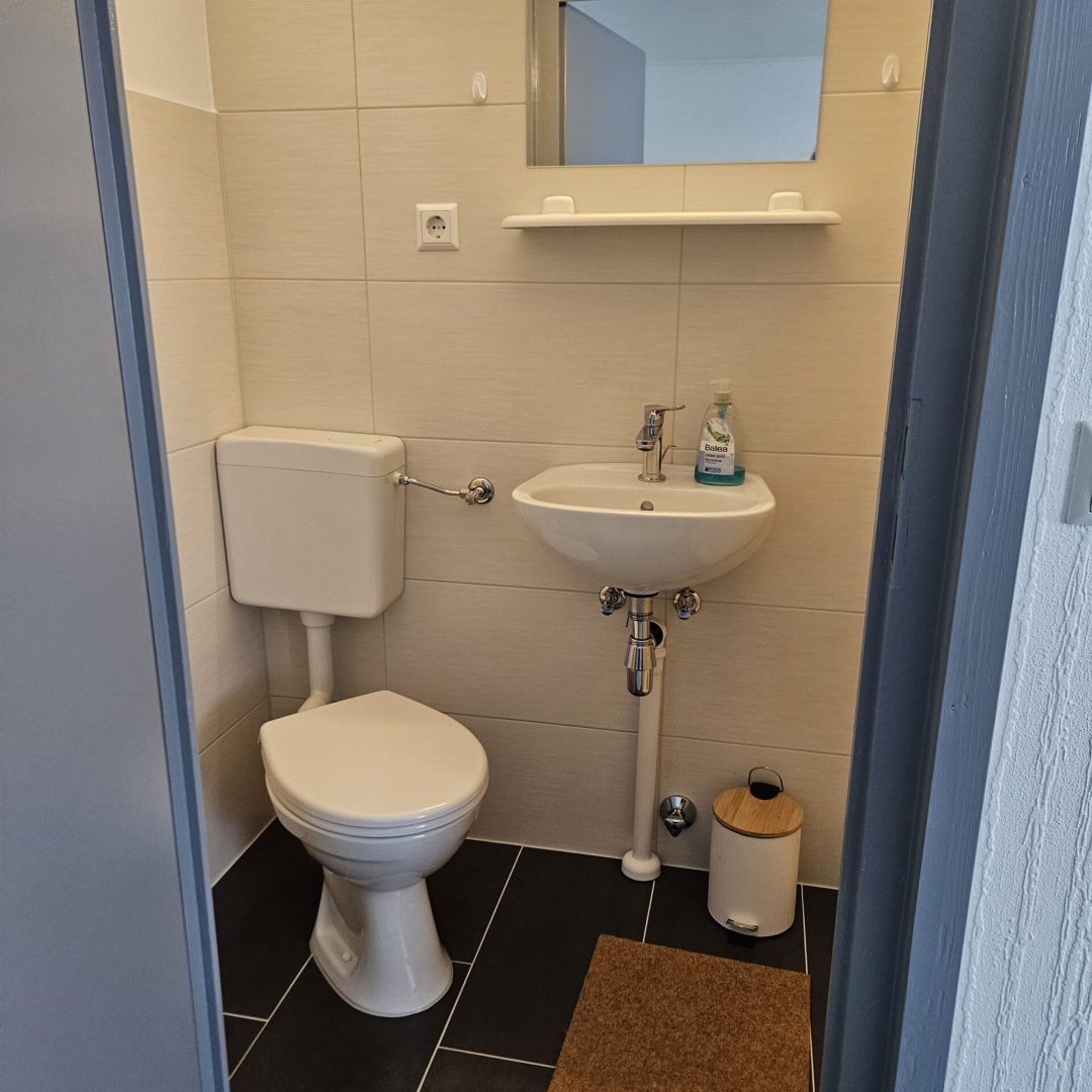 Bild der Toilette des Einzelbetten-Zimmers namens Schneckenhaus in der Zimmervermietung Lingies im Spreewald.